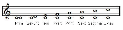 Musikaliska intervall